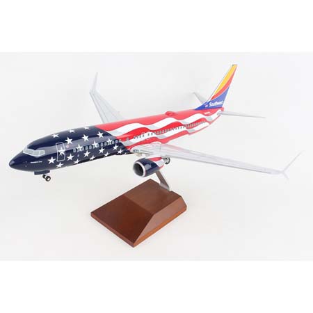 Freedom One Model Plane