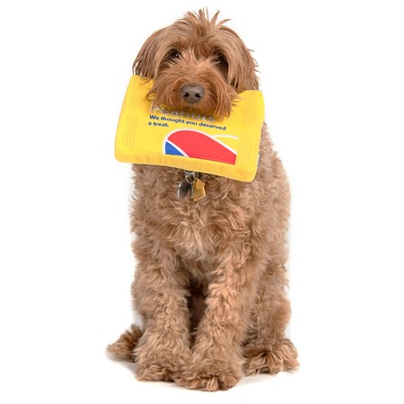 Plush Peanut Snack Dog Toy