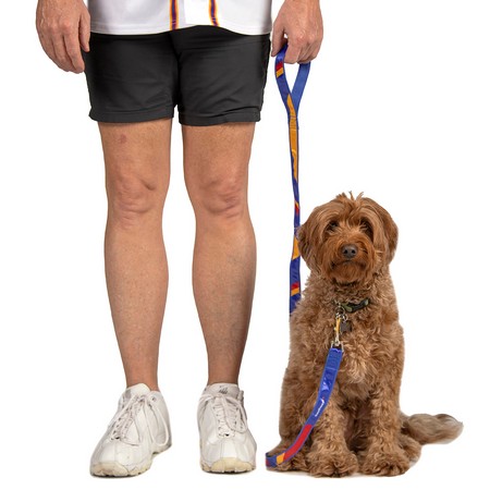 Dog Leash