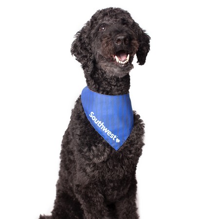 Large Pet Bandana